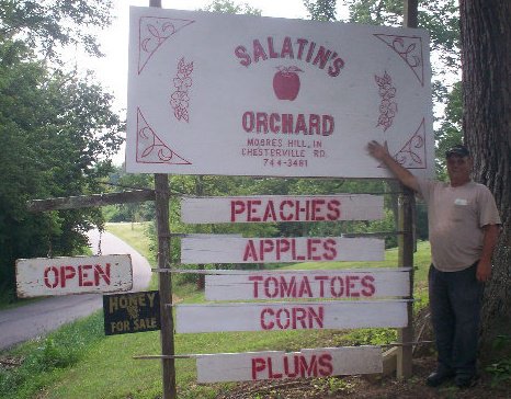 Salatin’s Orchard