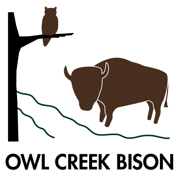 Owl Creek Bison
